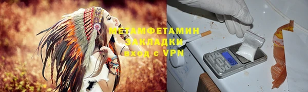 трава Инта