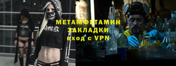 трава Инта
