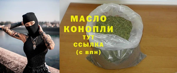 трава Инта
