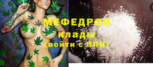 трава Инта