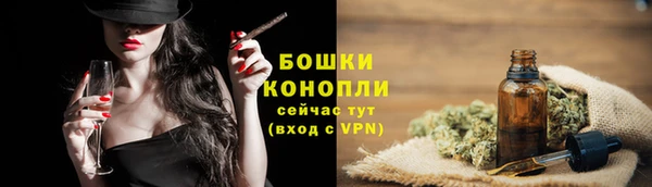 трава Инта