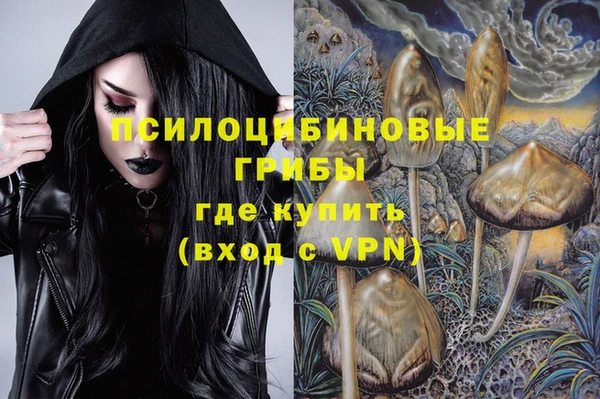 меф Инсар