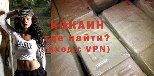 трава Инта