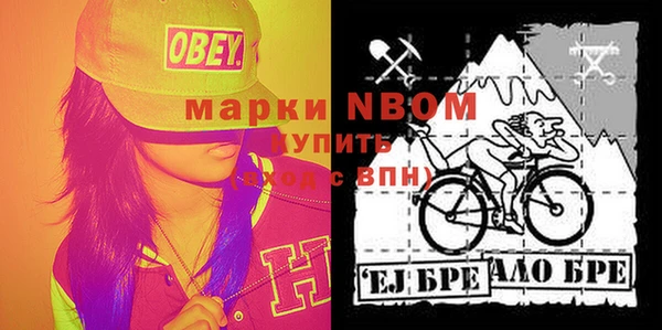 трава Инта
