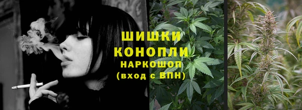 трава Инта